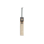 Load image into Gallery viewer, Gujarat Titans English Willow Bat