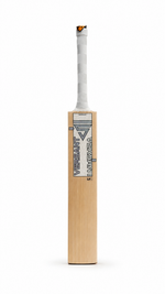Load image into Gallery viewer, Lit Bat