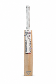 Lit Bat