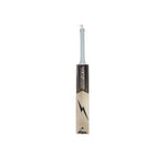Load image into Gallery viewer, Gujarat Titans English Willow Bat