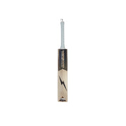 Gujarat Titans English Willow Bat