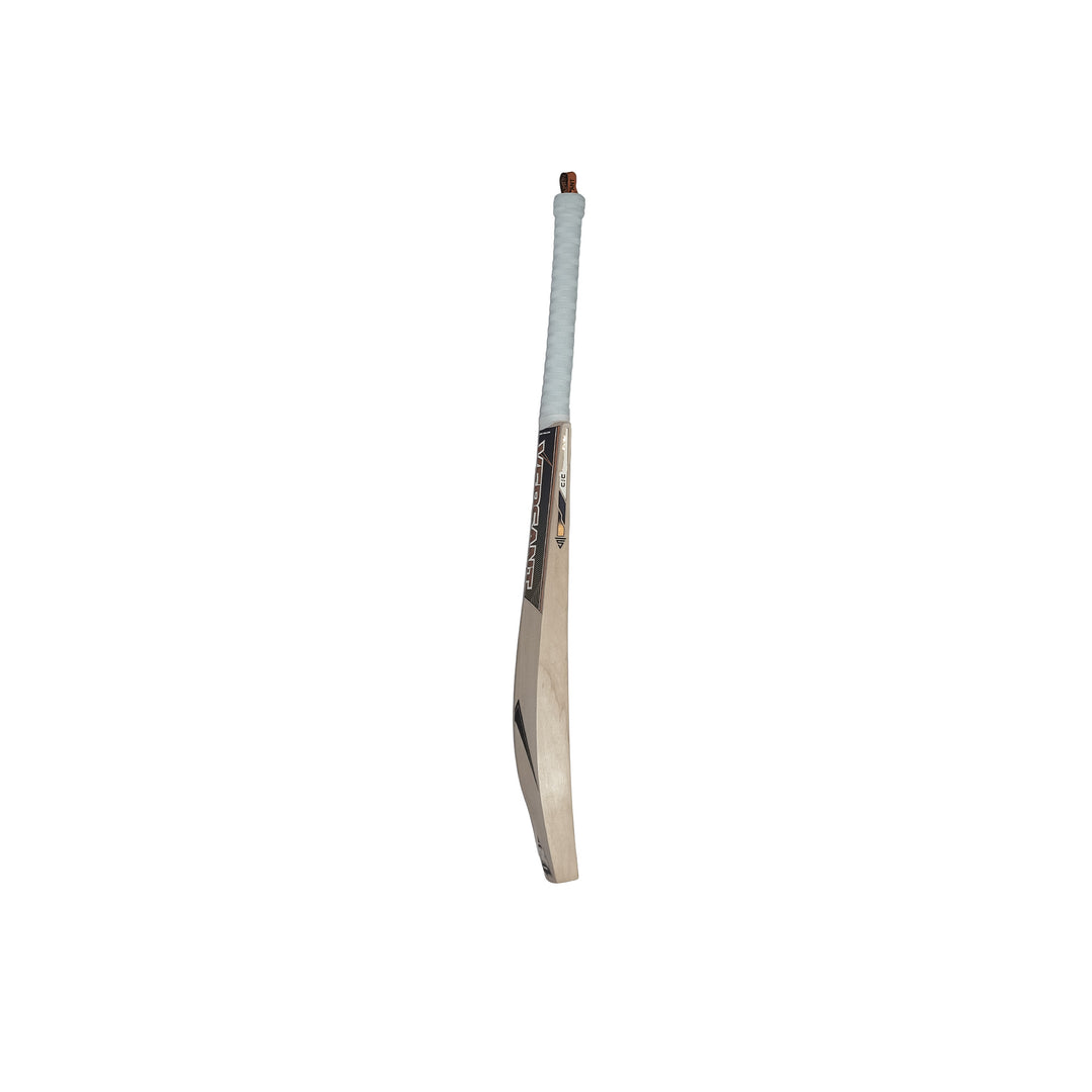 Gujarat Titans English Willow Bat