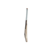 Gujarat Titans English Willow Bat