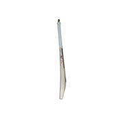 Gujarat Titans English Willow Bat