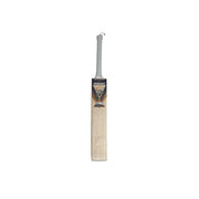 Gujarat Titans English Willow Bat