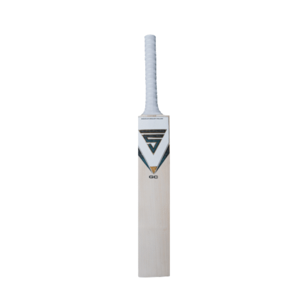 Versant-Gc Bat
