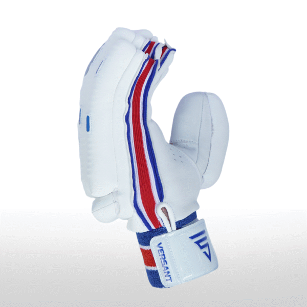 Goat Gloves Blue/Red