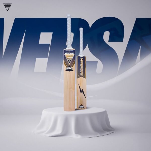 Gujarat Titans English Willow Bat